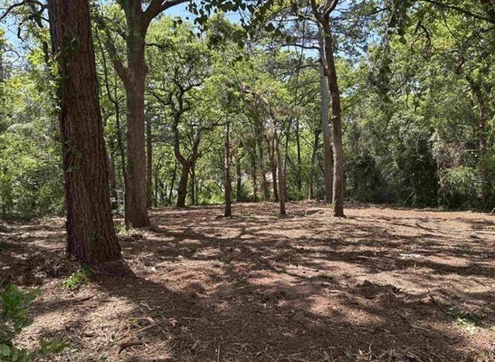 514 DOGWOOD LN, HIDEAWAY, TX 75771 - Image 7add724b00e767d8c1dedbf5fccdf92a/3851346092