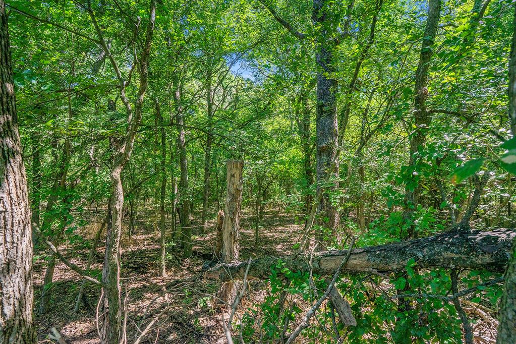 D S Henderson - Residential