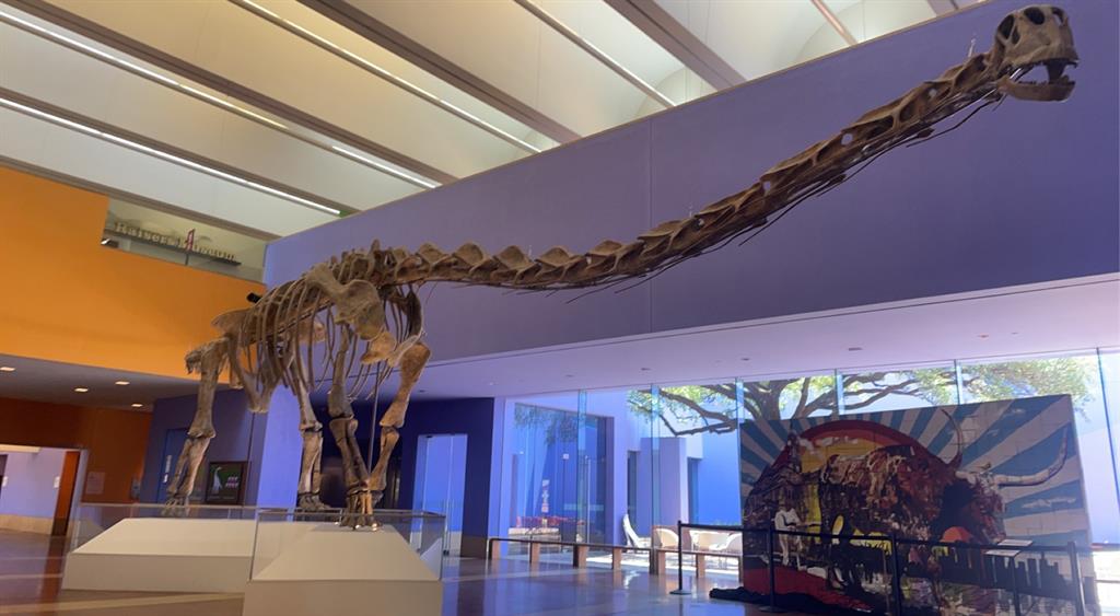 Heights Condo The - Residential