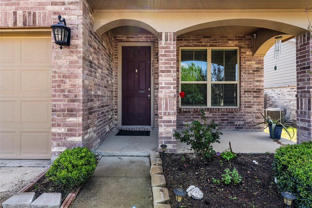 Palmilla Springs - Residential