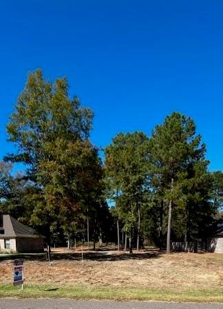 North Pointe Place - Land