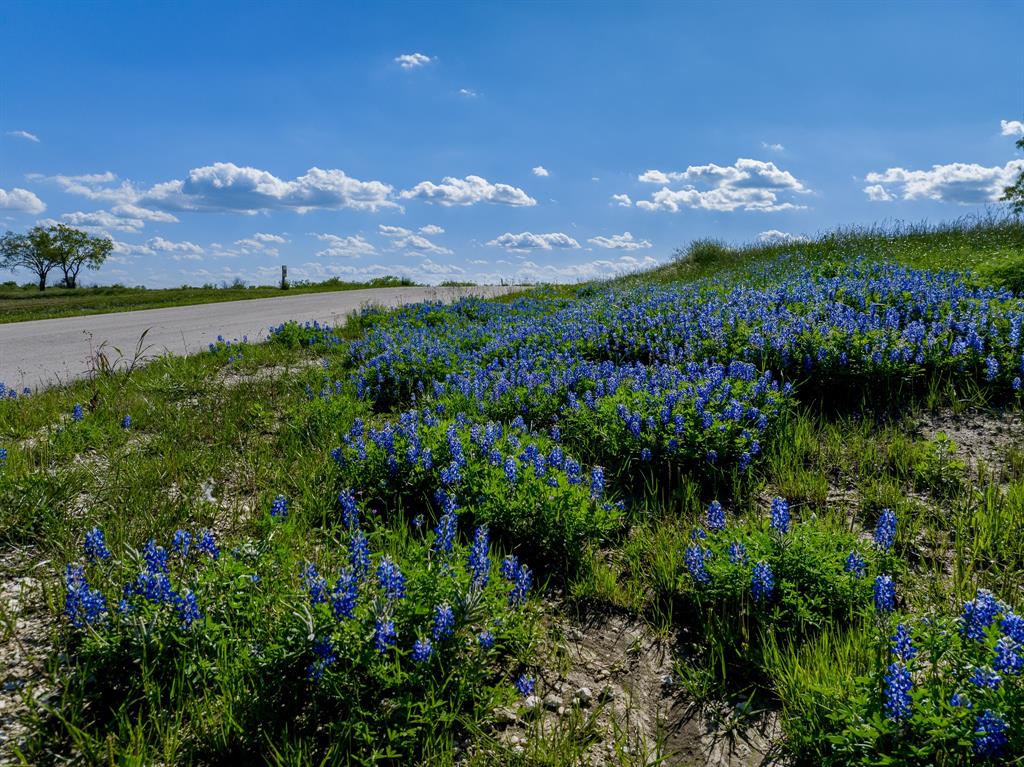 Richland Park - Land