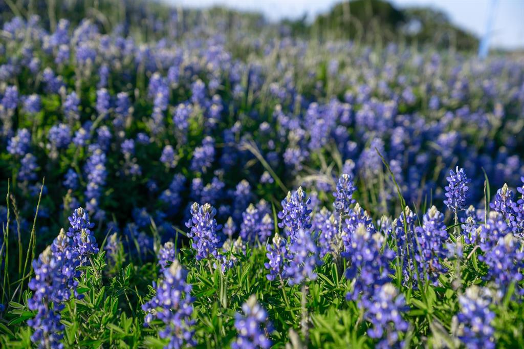 Richland Park - Land