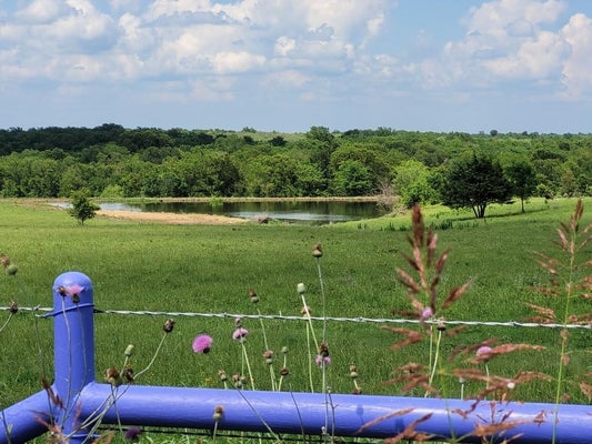 TBD COUNTY ROAD 212, COOLIDGE, TX 76635 - Image 7b3cc92189d2fe98ce79cf913246be13/1973070001