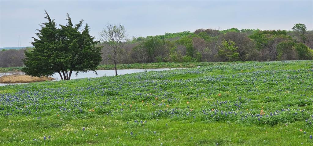 TBD County Road 212