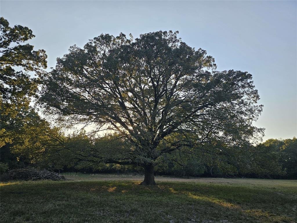 M E P & P R R CO - Residential