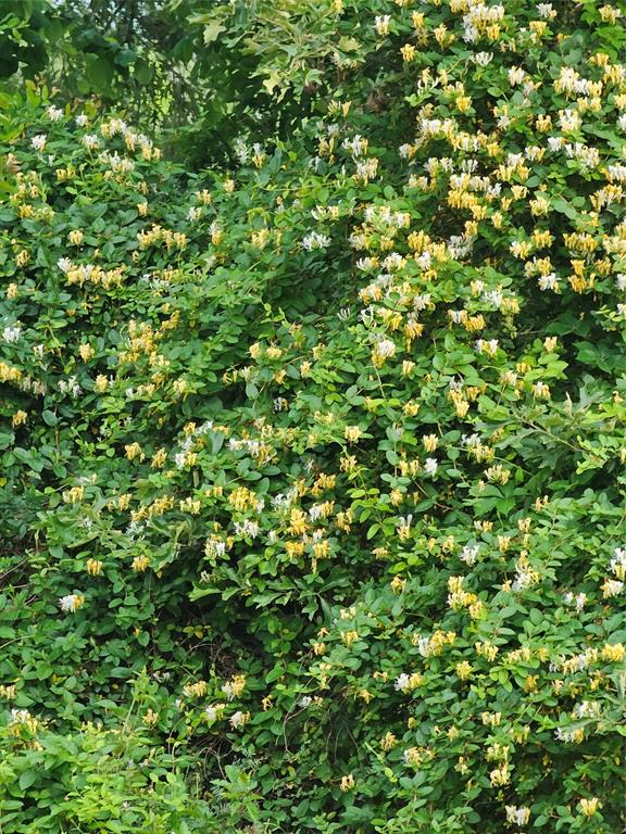 M E P & P R R CO - Residential