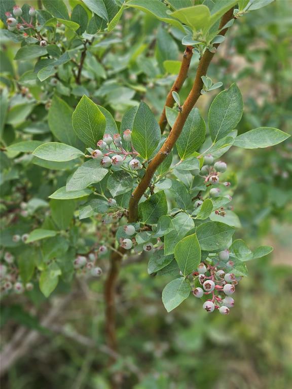 M E P & P R R CO - Residential