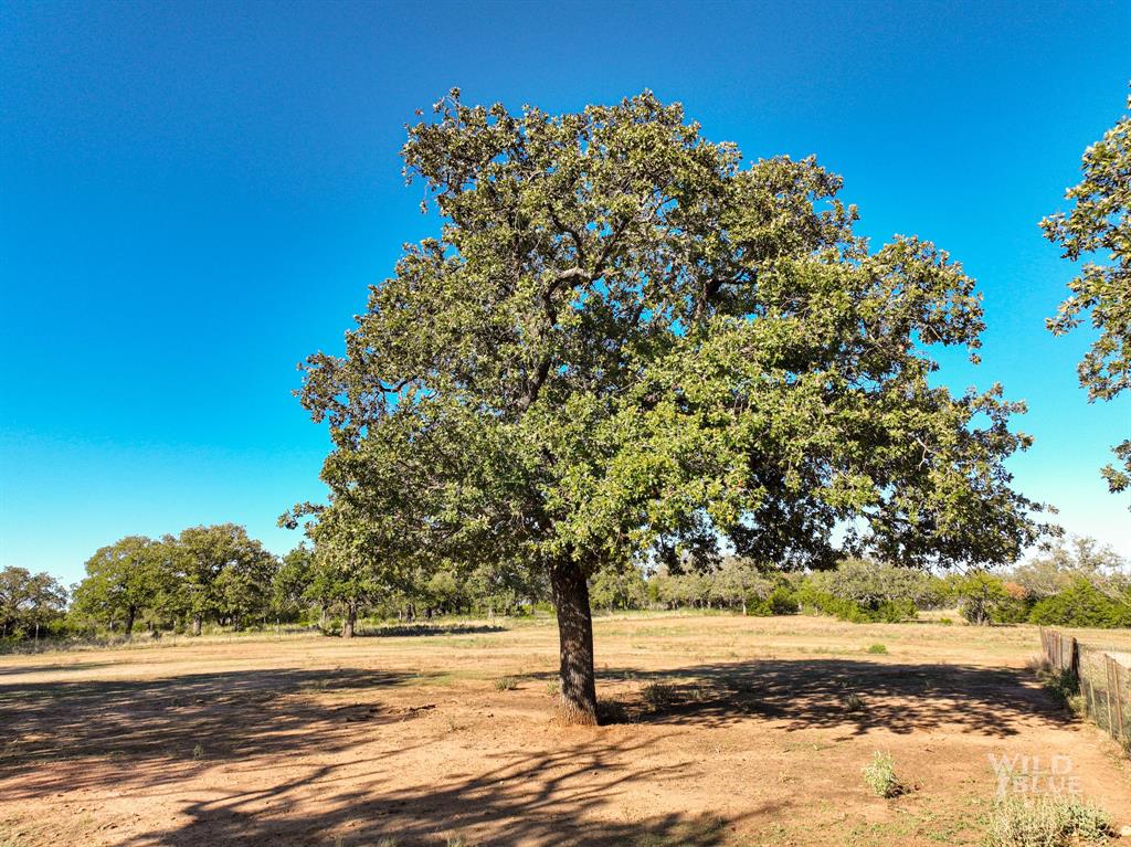 M V Brewer 719 - Residential