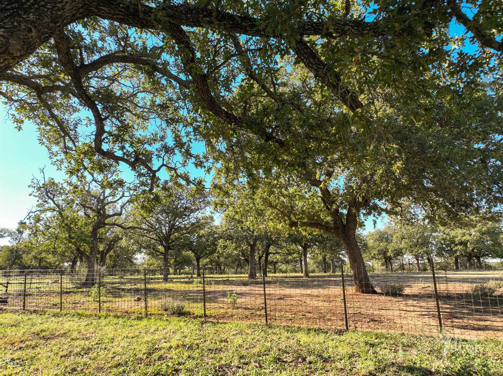 M V Brewer 719 - Residential