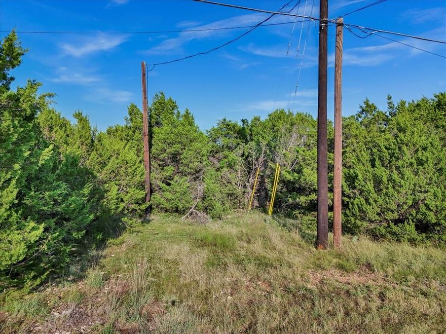 Nestled just off Tin Top Hwy in sought-after Granbury, Texas, this .04-acre unimproved lot offers a rare opportunity to own a small slice of land in a prime location—without the constraints of city limits. Beautifully wooded with many trees, the property provides natural shade, privacy, and a tranquil setting that’s perfect for your future home or getaway. Enjoy the peacefulness of rural living while staying just a short drive from Lake Granbury, where you can boat, fish, or relax by the water. You're also close to shopping, dining, and everyday conveniences, making this a truly ideal location. Whether you're looking to build your dream home, a weekend retreat, or invest in land with big potential, this lot offers the best of both worlds—serenity and convenience. Don't miss out on this unique opportunity!
