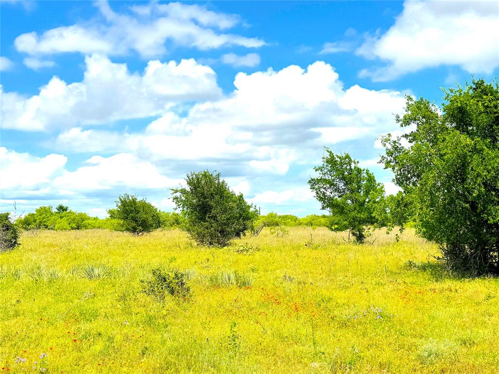 Goodnight Ranch - Land