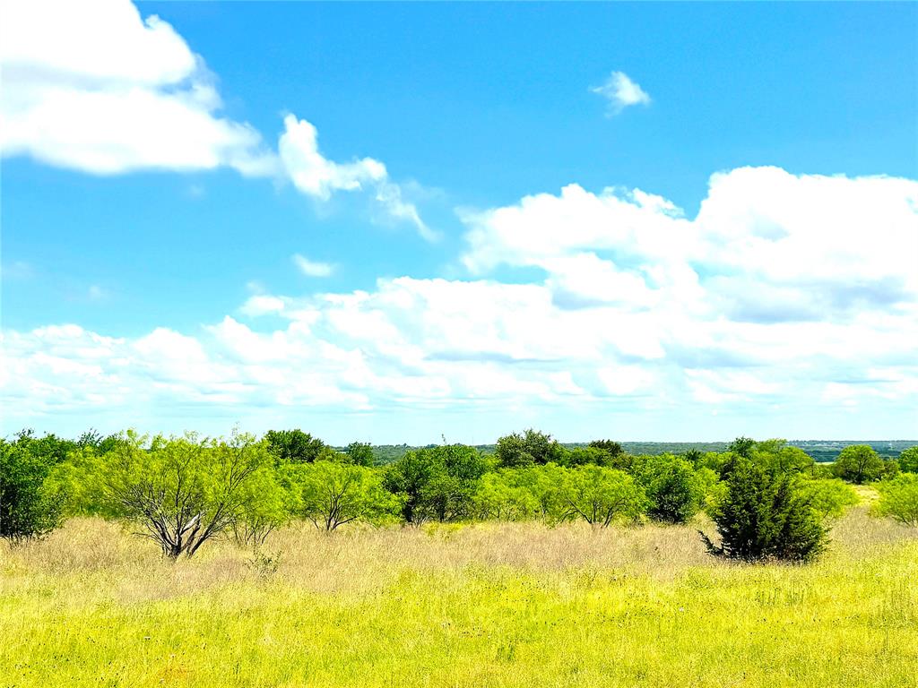 Goodnight Ranch - Land