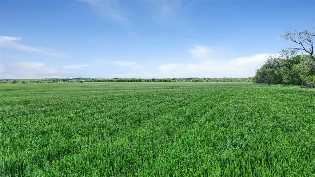 JNO M Herron Survey - Land