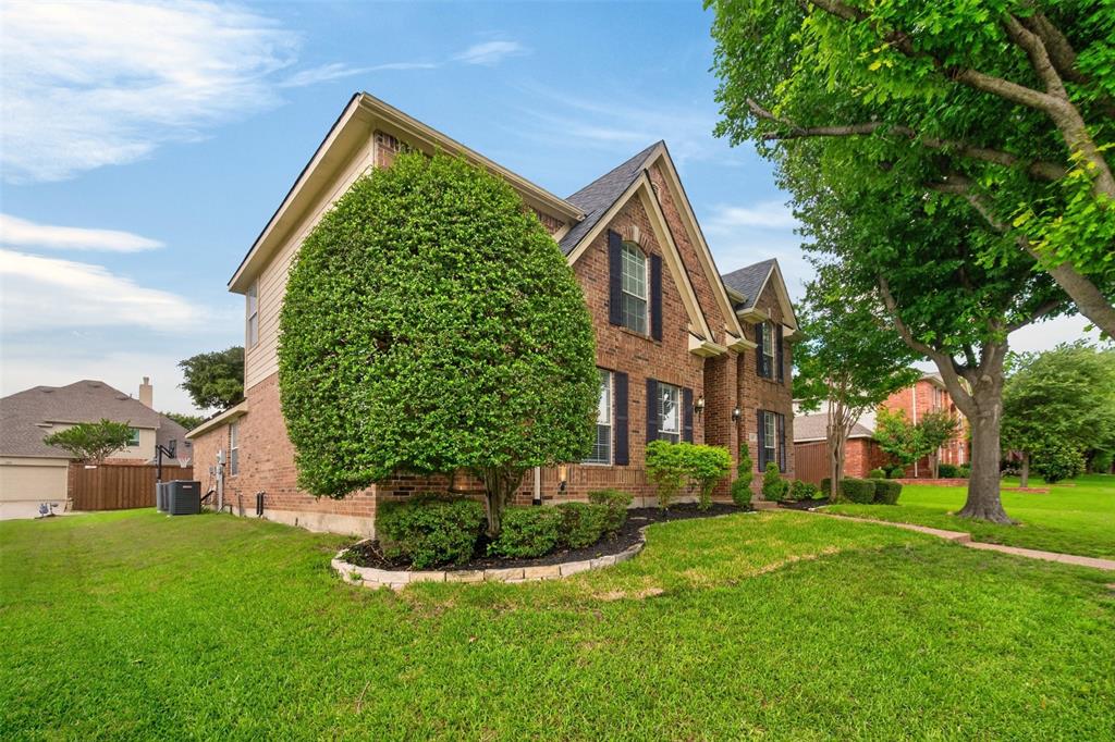 1203 Rainforest Lane