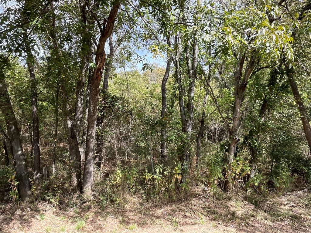 Md Dickey Surv Abs #195 - Land