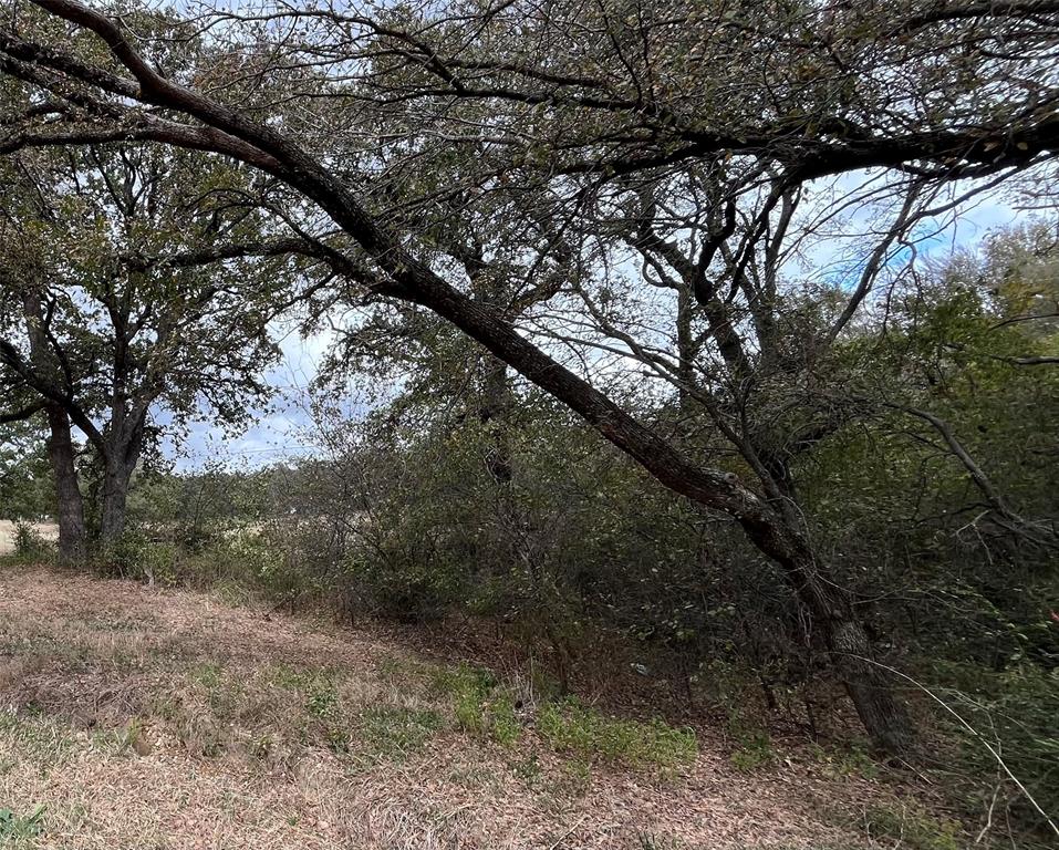 Md Dickey Surv Abs #195 - Land