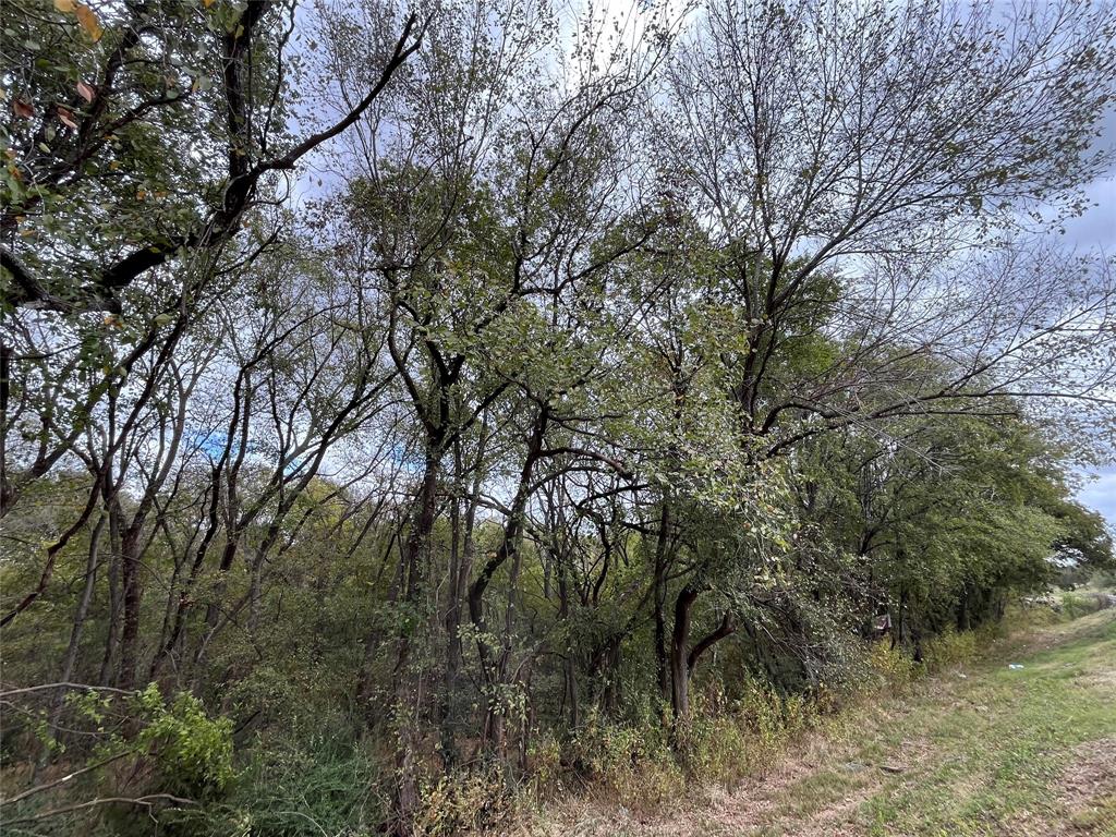 Md Dickey Surv Abs #195 - Land