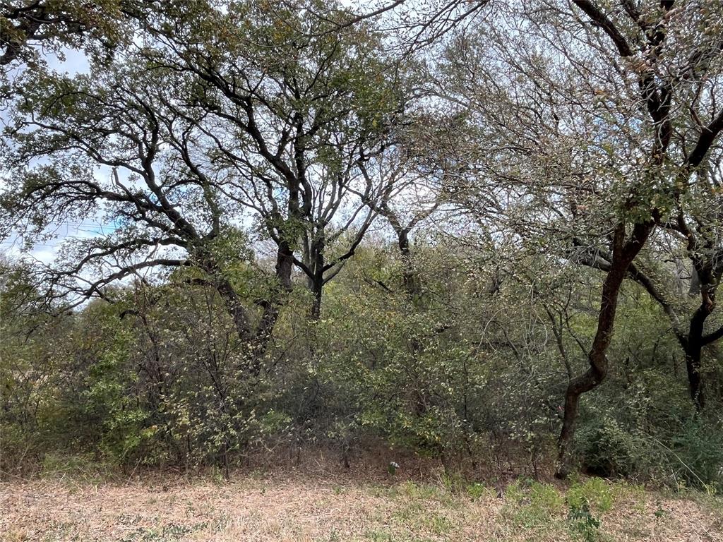 Md Dickey Surv Abs #195 - Land