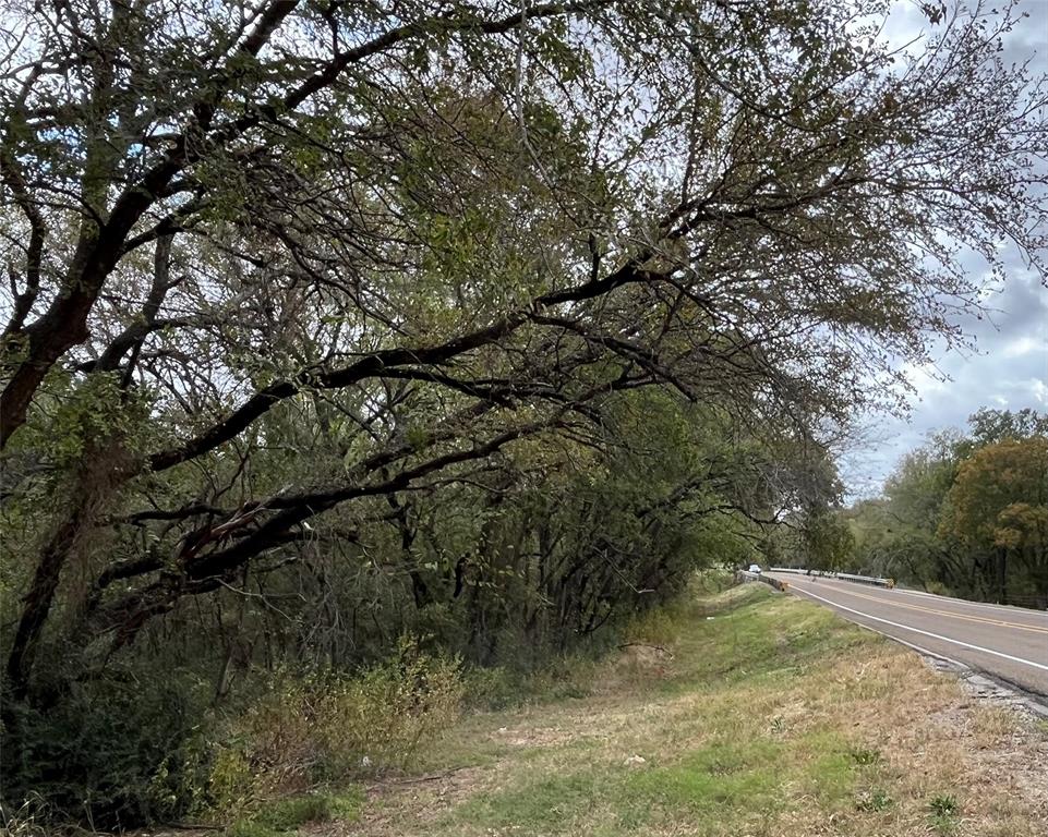 Md Dickey Surv Abs #195 - Land