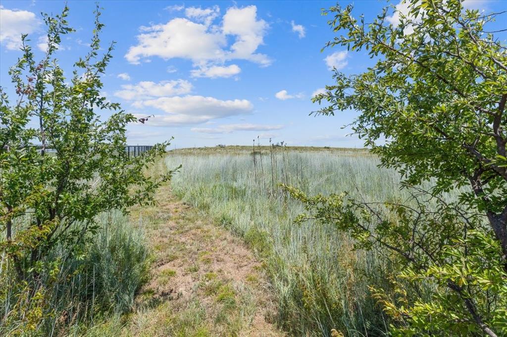 Springtown, Texas 76082, United States, 4 Bedrooms Bedrooms, ,3 BathroomsBathrooms,Residential,Active,178092