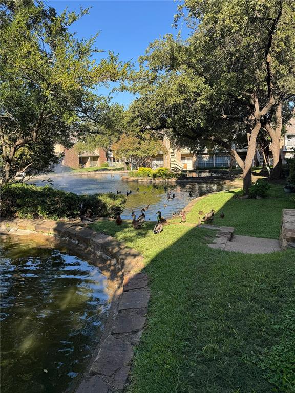 Lakeshore Condo - Residential