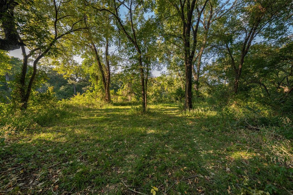 L Barned #113 & M Coleman Surv - Land