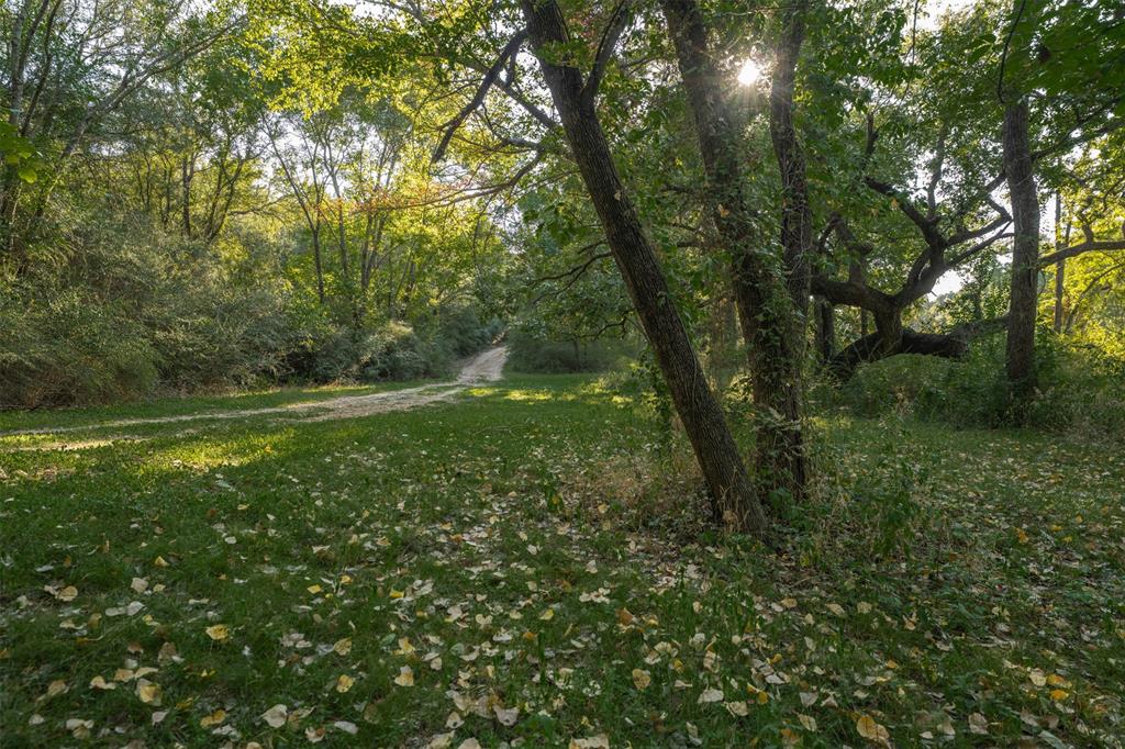 L Barned #113 & M Coleman Surv - Land