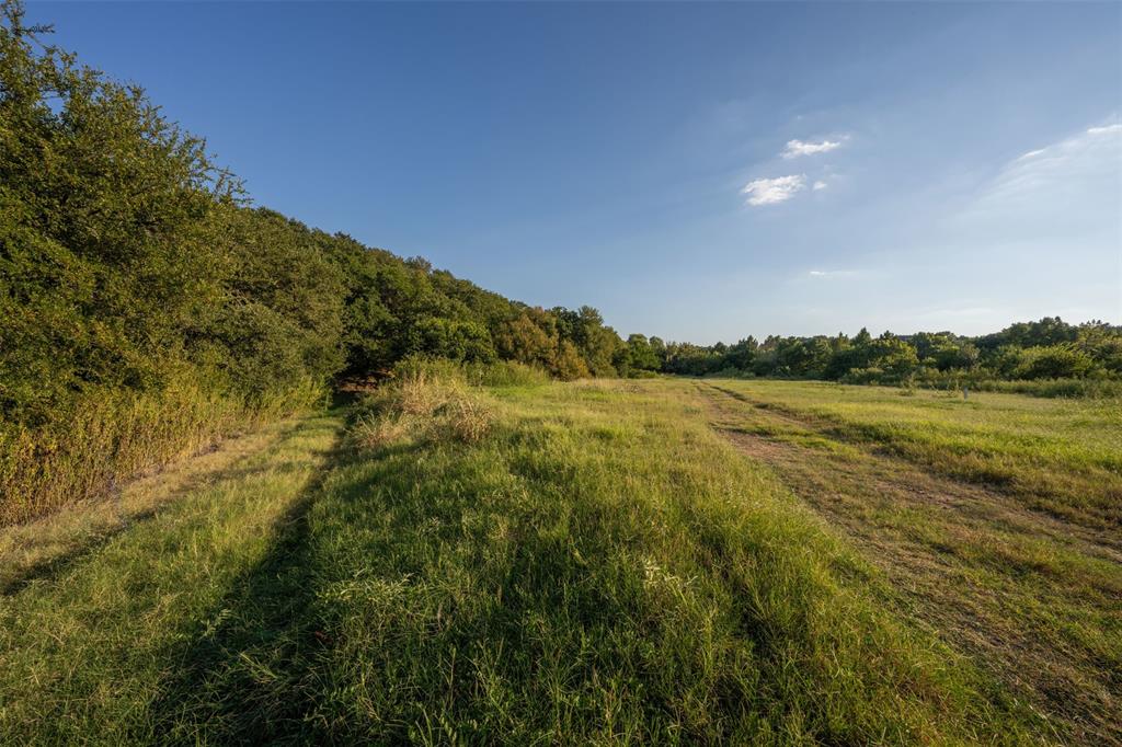 L Barned #113 & M Coleman Surv - Land