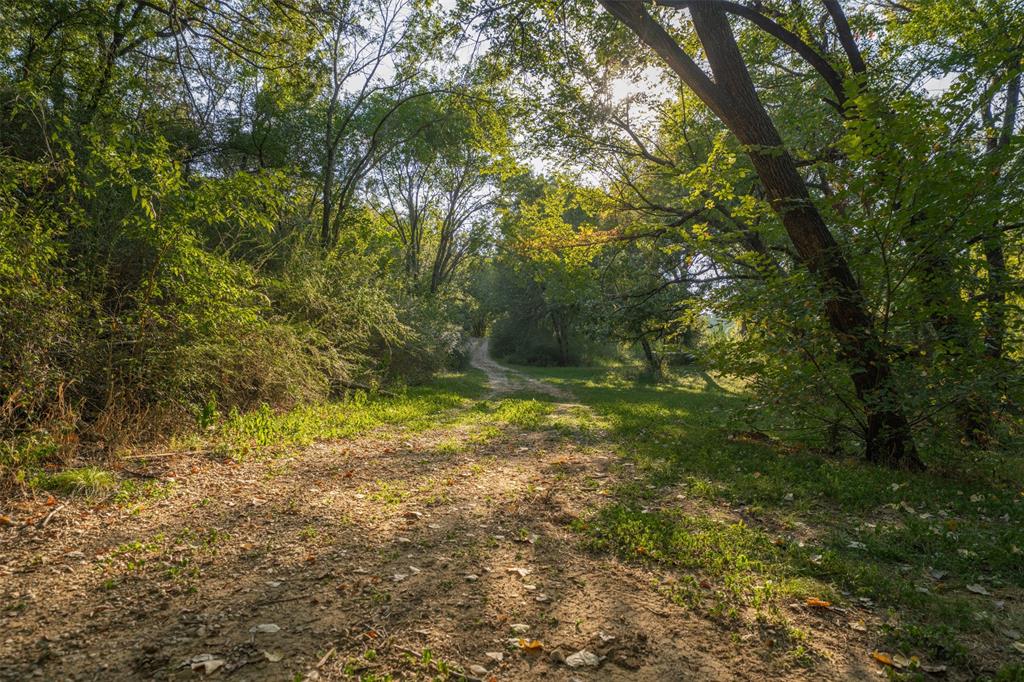 L Barned #113 & M Coleman Surv - Land