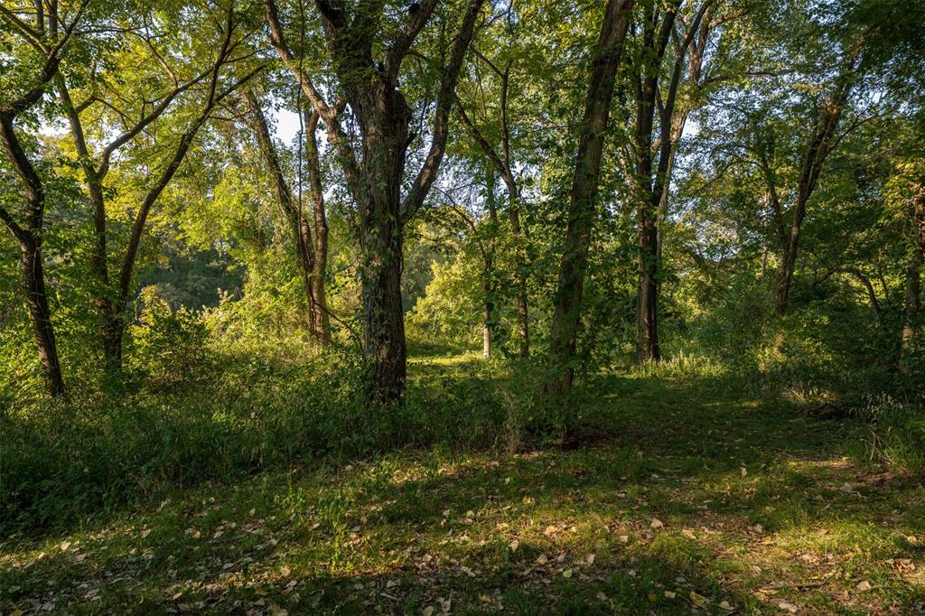 L Barned #113 & M Coleman Surv - Land