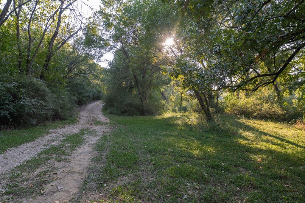 L Barned #113 & M Coleman Surv - Land