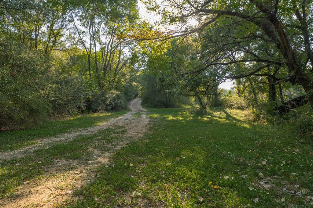 L Barned #113 & M Coleman Surv - Land