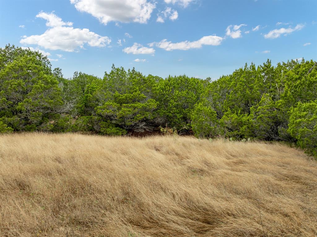 White Bluff #18 - Land