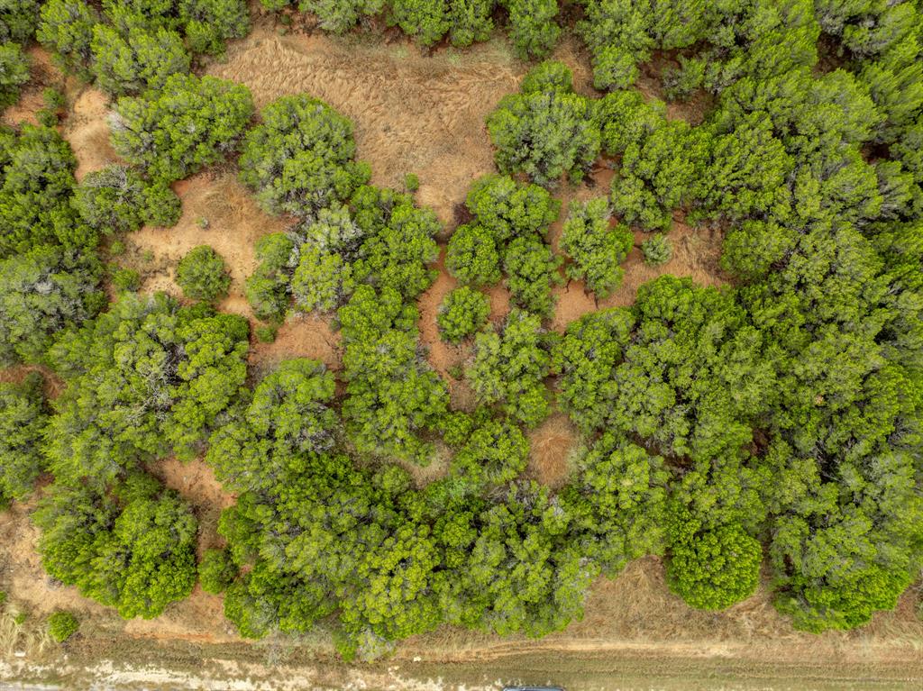 White Bluff #18 - Land