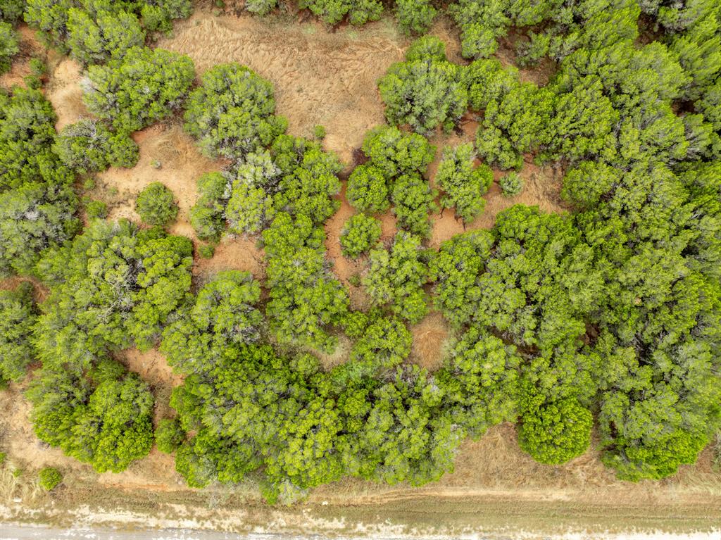 White Bluff #18 - Land