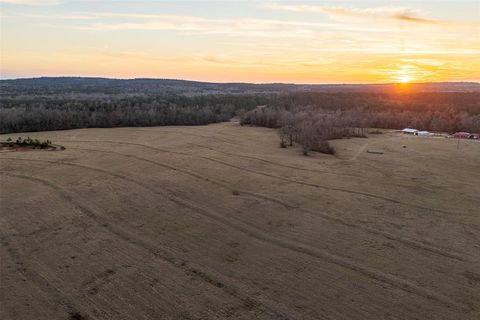 13579 County Road 4198 S Laneville TX 75667