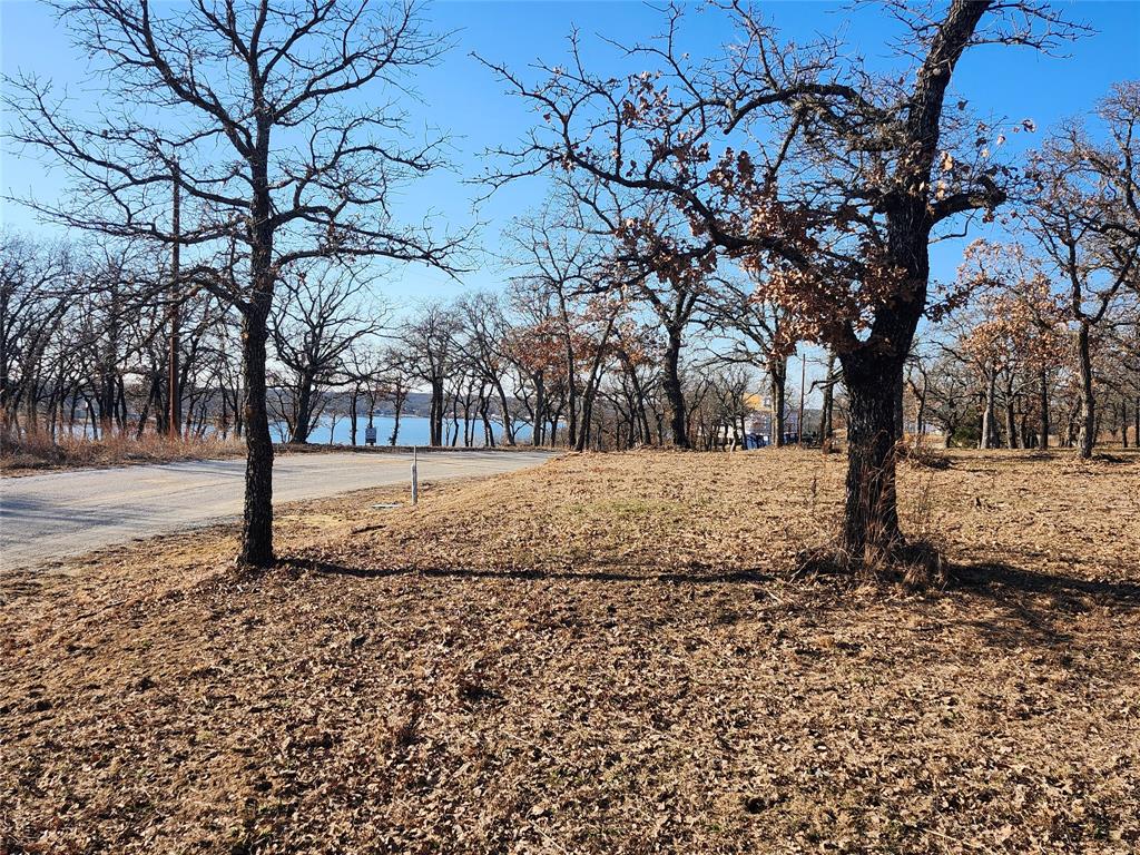 161 Nocona Drive