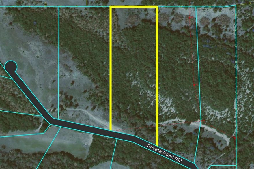 This 10-acre wooded lot features a seasonal creek running through the property, enhancing its natural beauty. The diverse landscape, with some elevation change, adds to the charm and character of the land. The property is abundant with wildlife, offering a peaceful, nature-filled setting. With its serene environment and scenic features, it’s a fantastic spot to build your dream home, whether you’re looking for a getaway or a permanent residence in a tranquil, wooded setting. Near County Road 1006