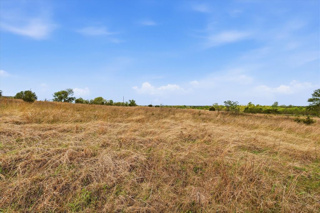 JNO Leewright Survey - Land