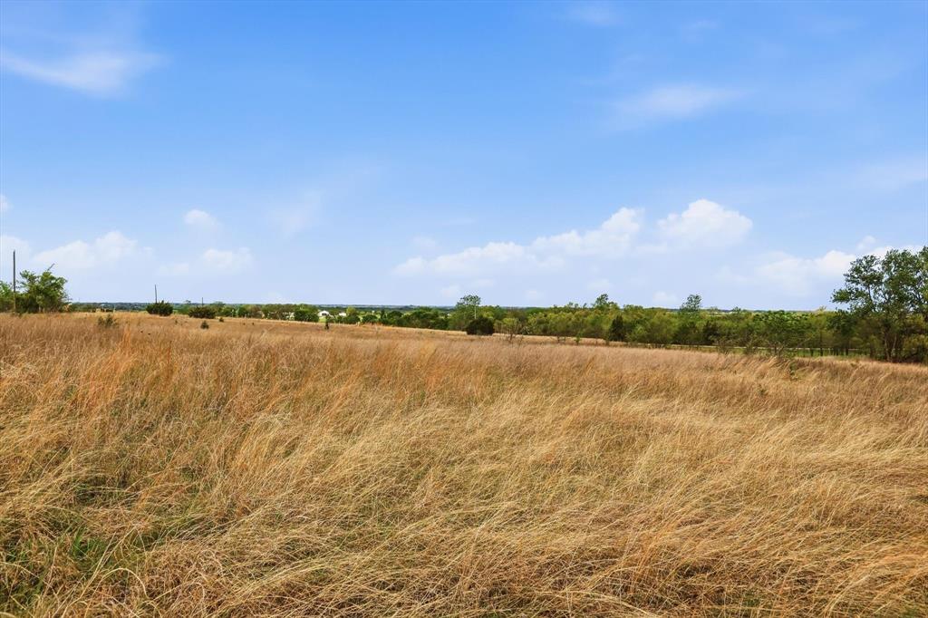 JNO Leewright Survey - Land