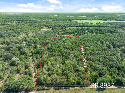 Photo of TBD County Road 8987, Ben Wheeler, TX 75754 (MLS # 21392229)
