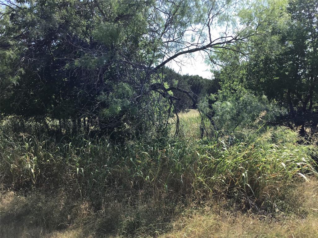 Photo 4 of 14 of 40054 Elmwood Drive land
