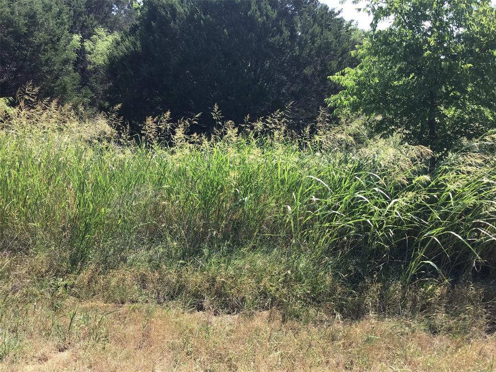 Photo 8 of 14 of 40054 Elmwood Drive land