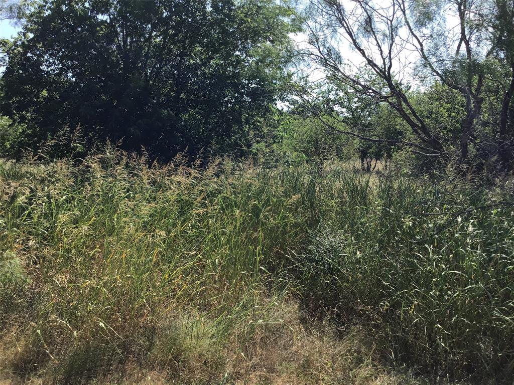 Photo 3 of 14 of 40054 Elmwood Drive land