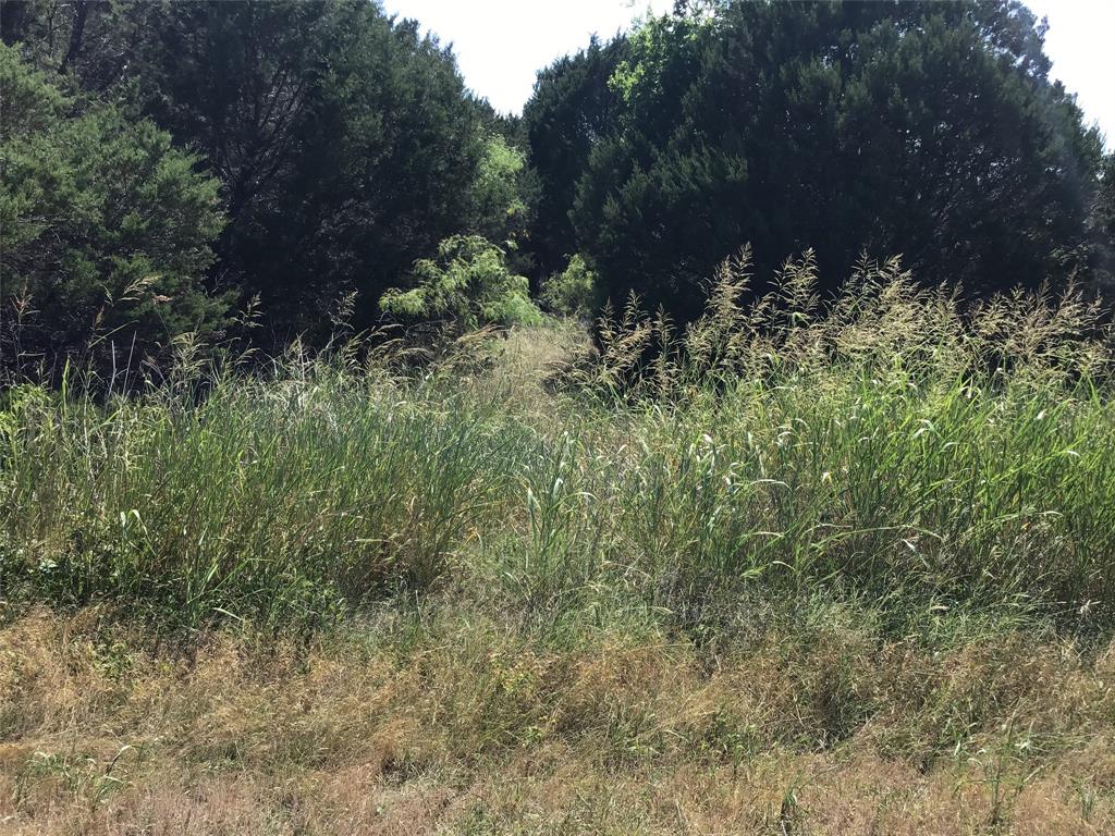 Photo 10 of 14 of 40054 Elmwood Drive land