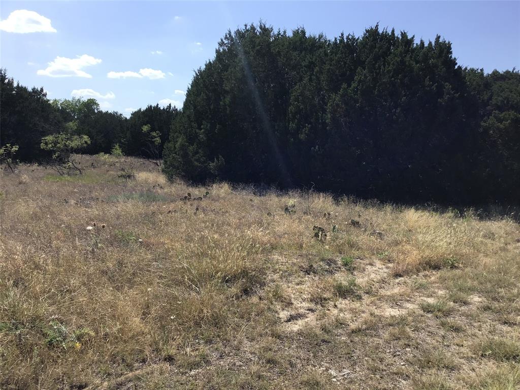 Photo 14 of 14 of 40054 Elmwood Drive land