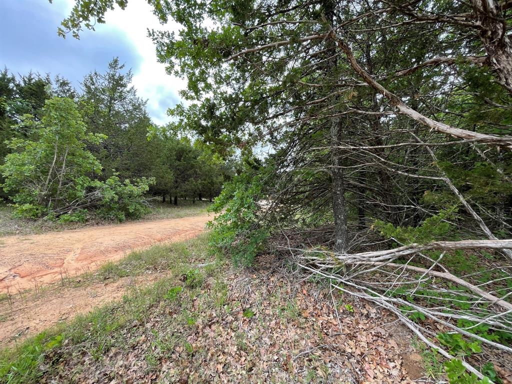 Grand Cypress Add Ph 1 - Land