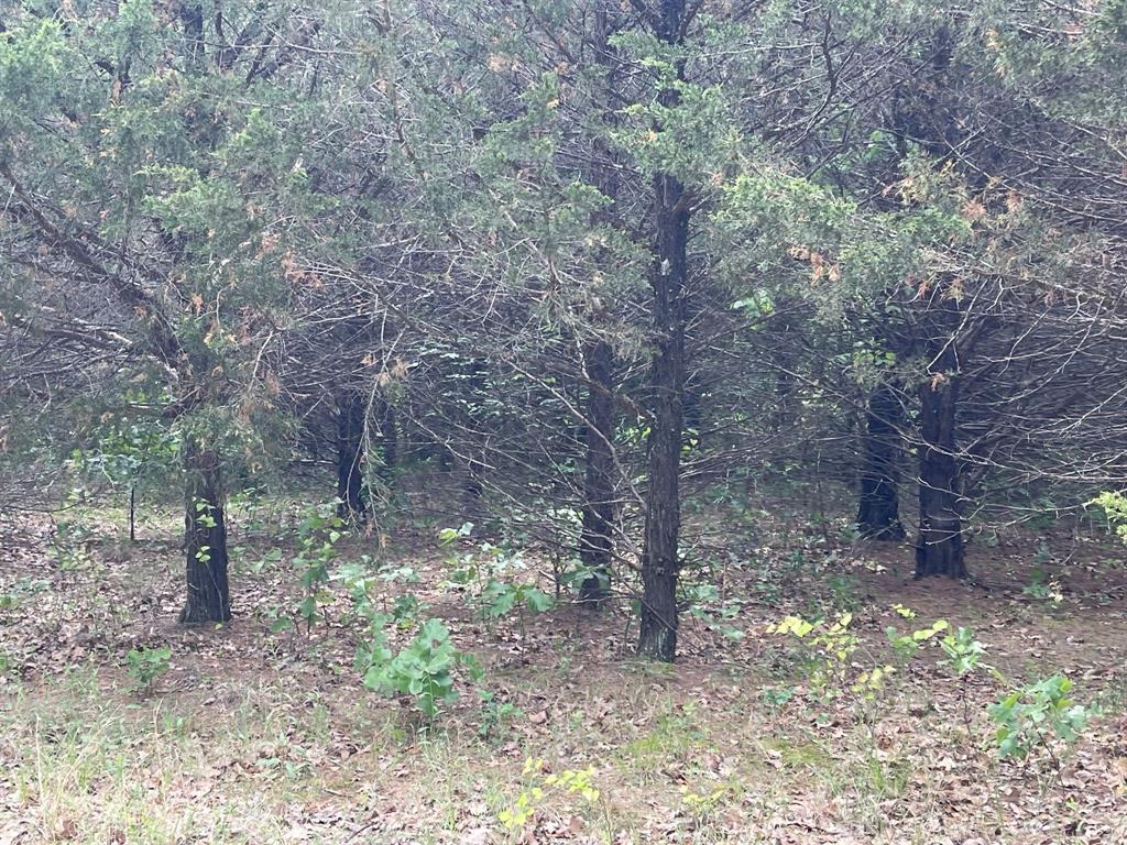 Grand Cypress Add Ph 1 - Land