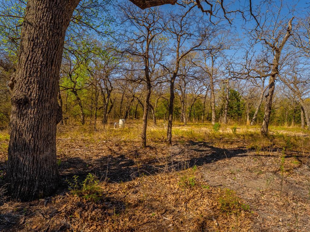 OAK HAVEN - Land